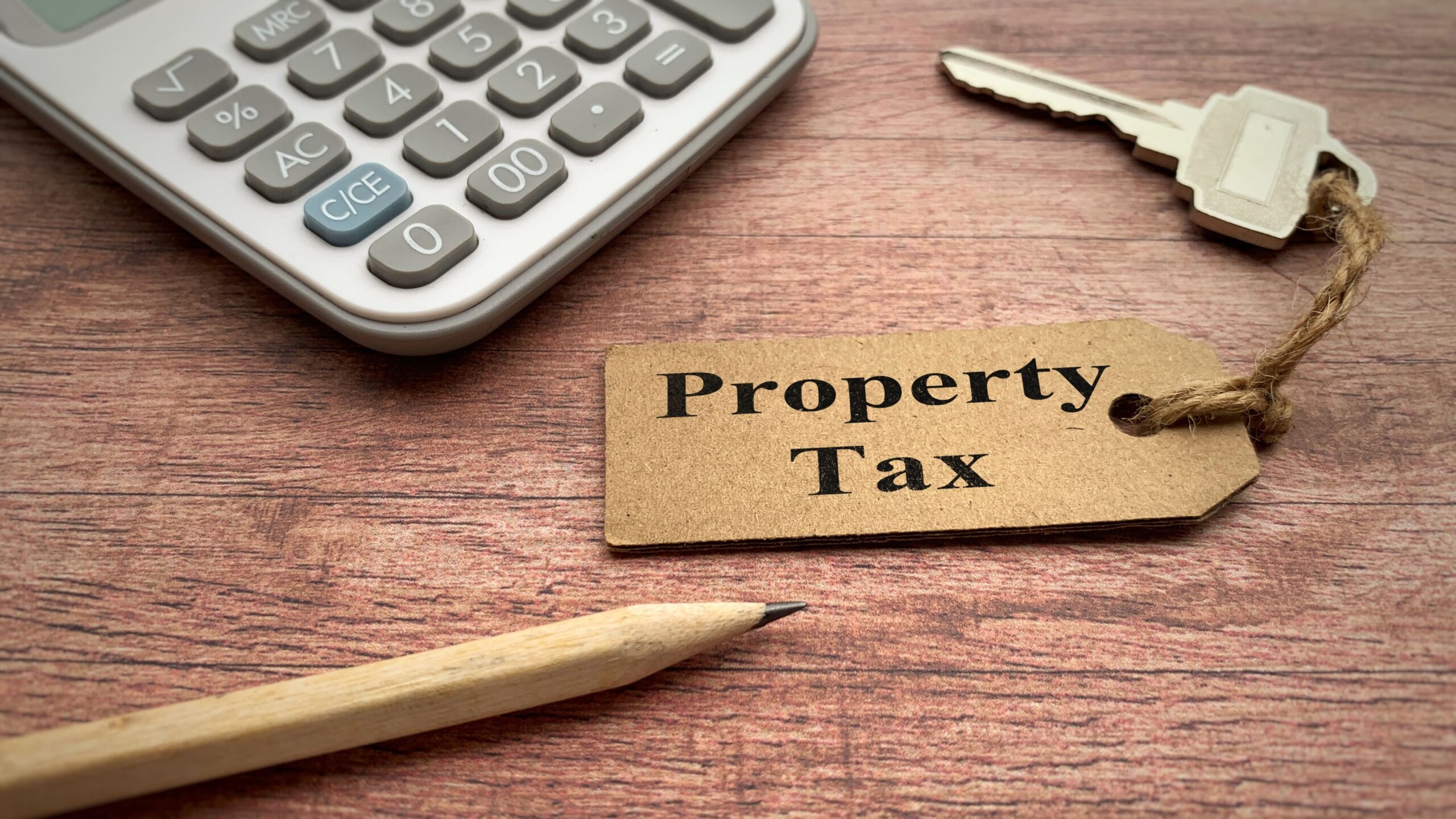 a customer navigating through their delinquent property tax